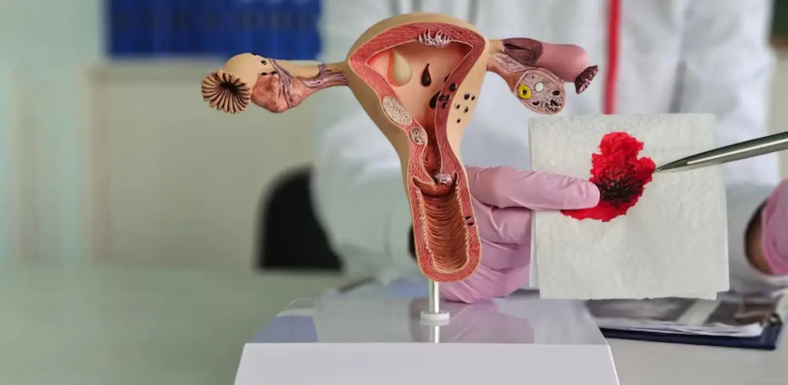 Hysteroscopic-Procedures-With-Utereus